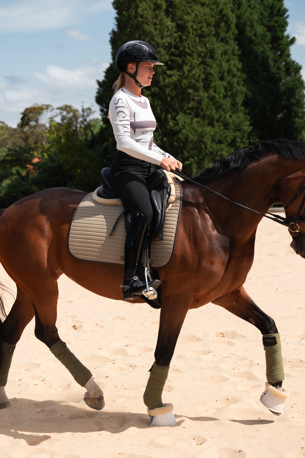 Oak Saddle Pad Dressage