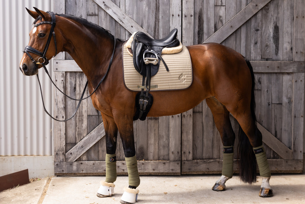 Oak Saddle Pad Dressage