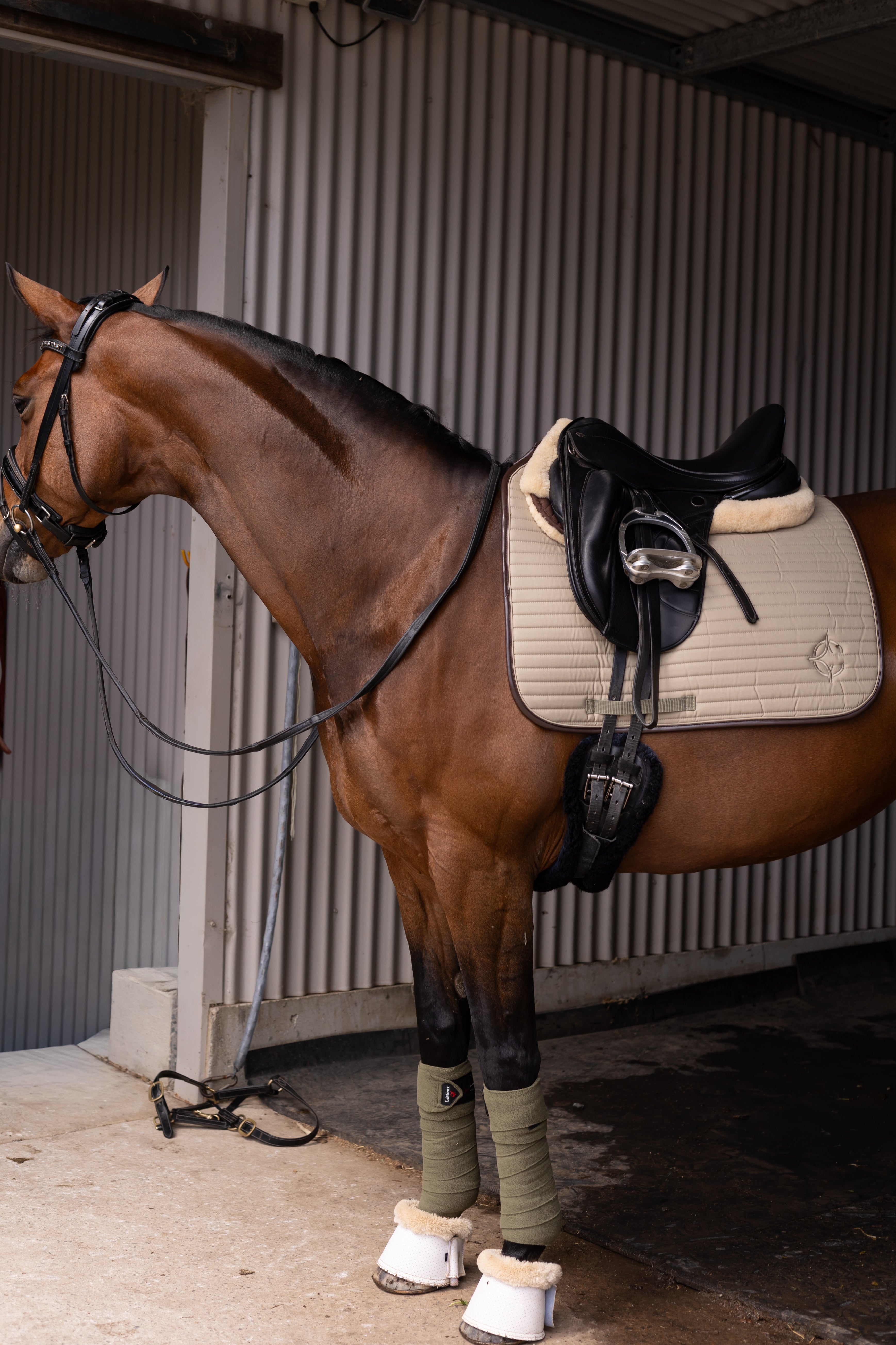 Oak Saddle Pad Dressage