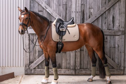Oak Saddle Pad Dressage