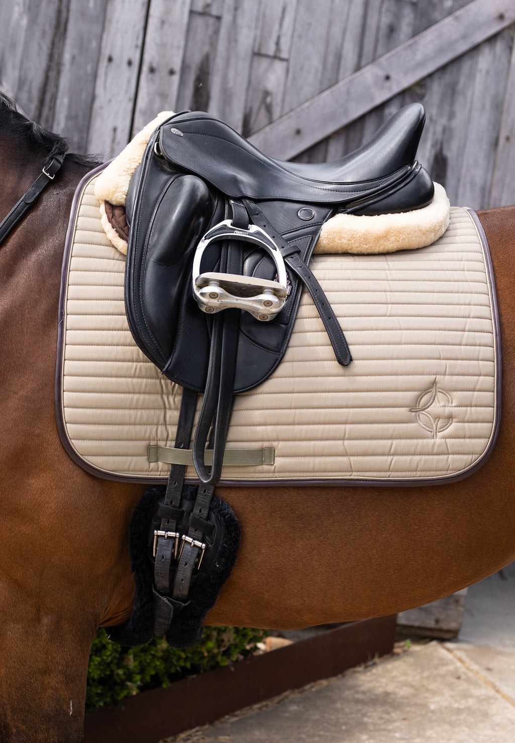 Oak Saddle Pad Dressage