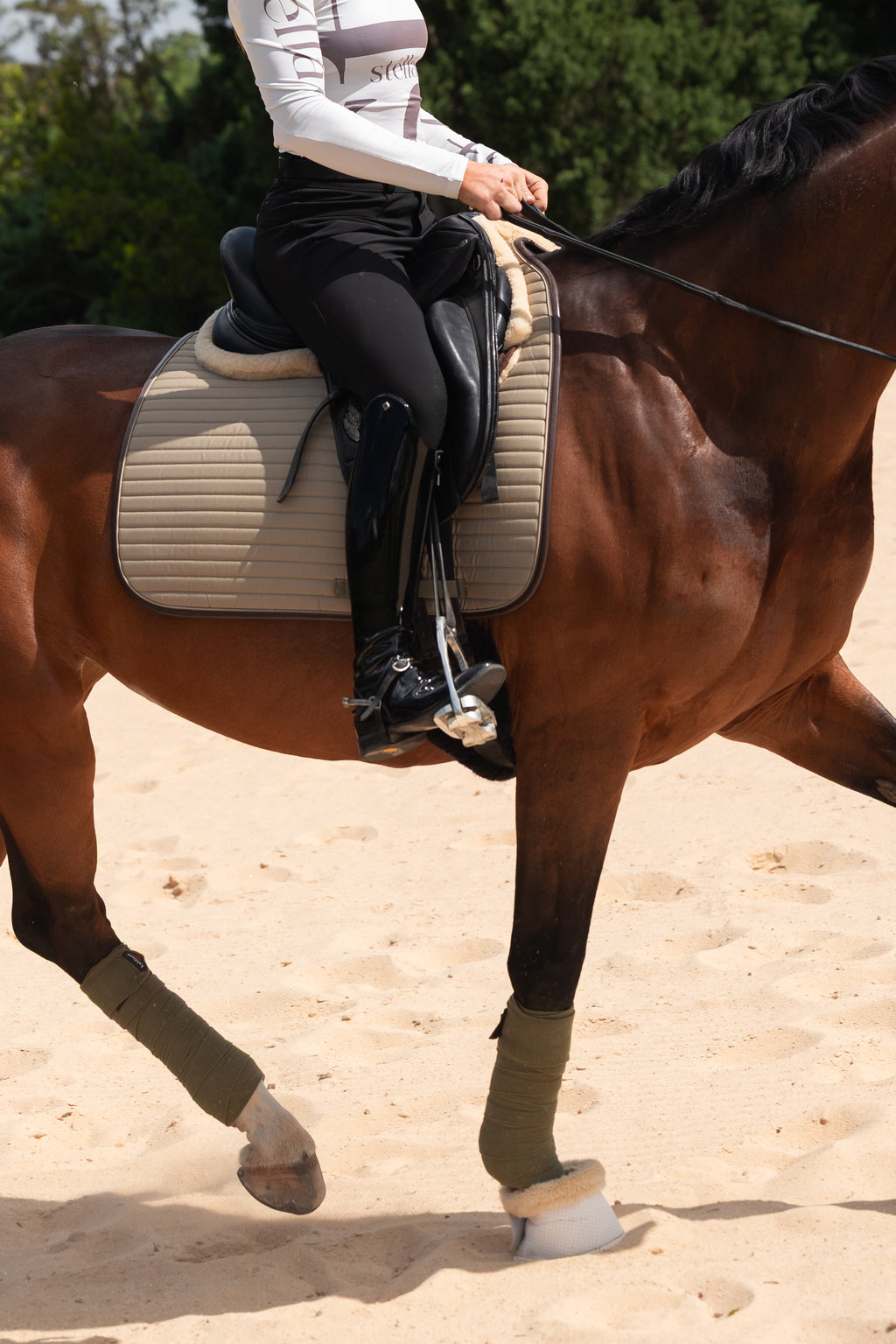 Oak Saddle Pad Dressage